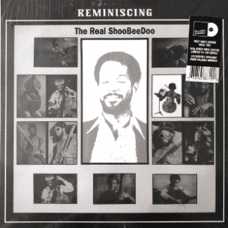 The Real ShooBeeDoo* – Reminiscing