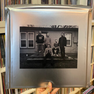 In the Earth Again (LP gold deluxe)